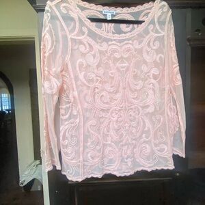 Express Delicate Pink Sheer Blouse